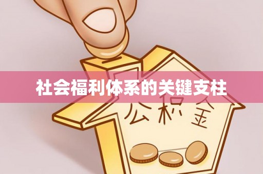 华池社会福利体系的关键支柱