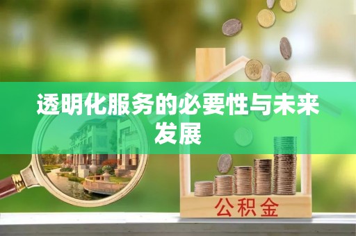 华池透明化服务的必要性与未来发展