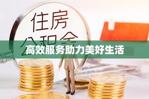 华池高效服务助力美好生活