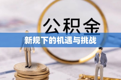 华池新规下的机遇与挑战