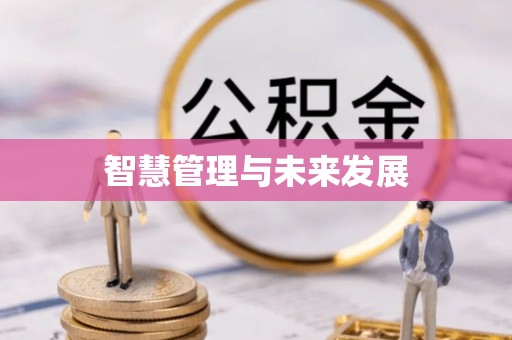 华池智慧管理与未来发展