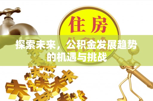 华池探索未来，公积金发展趋势的机遇与挑战