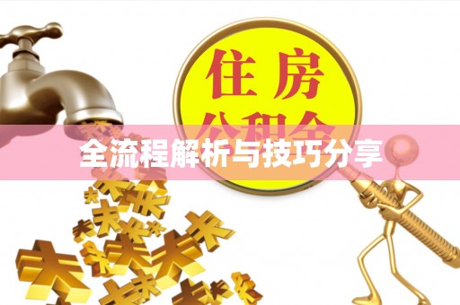 华池全流程解析与技巧分享